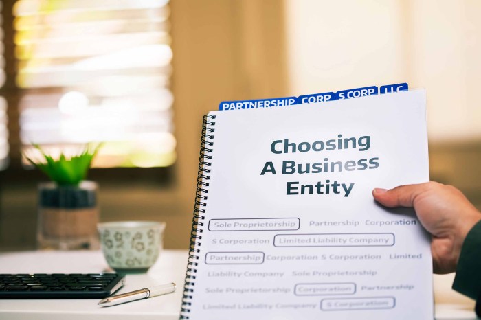 LLC vs sole proprietorship